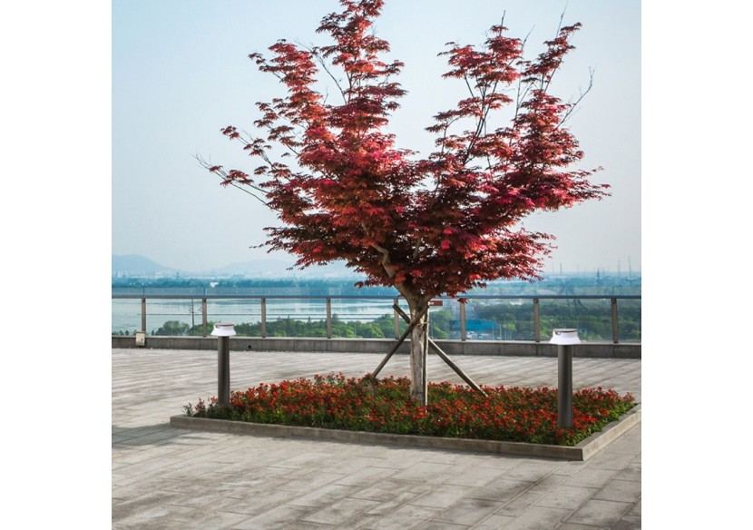 Borne LED solaire "FELICE 800" 73cm avec capteur PIR-3 modes de fonctionnement-CCT - FE1.575.000.A0S1KOP2 - Barcelona LED