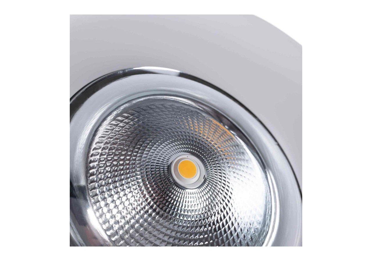 Spot LED encastrable spécial boucherie-30W-Coupe diamètre 210 mm - B1260-1-CAR - Barcelona LED
