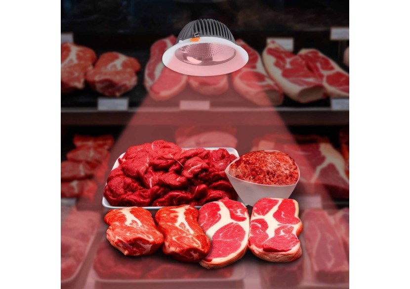 Spot LED encastrable spécial boucherie-30W-Coupe diamètre 210 mm - B1260-1-CAR - Barcelona LED