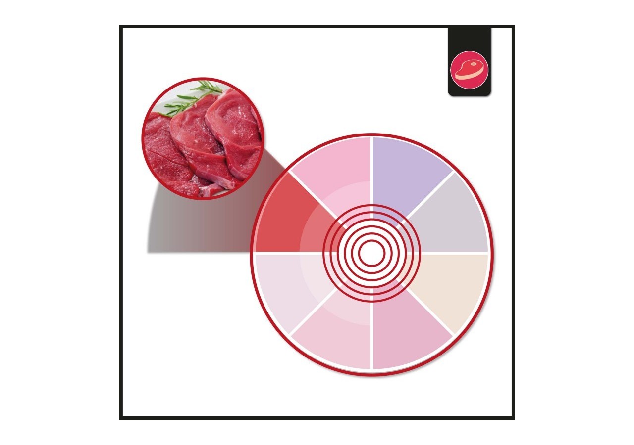 Spot LED encastrable spécial boucherie-30W-Coupe diamètre 210 mm - B1260-1-CAR - Barcelona LED