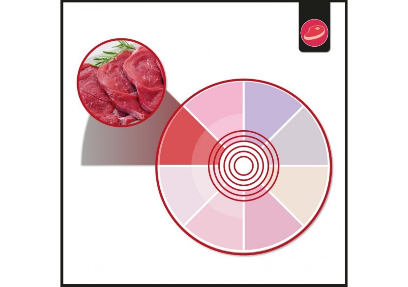 Spot LED encastrable spécial boucherie-30W-Coupe diamètre 210 mm - B1260-1-CAR - Barcelona LED