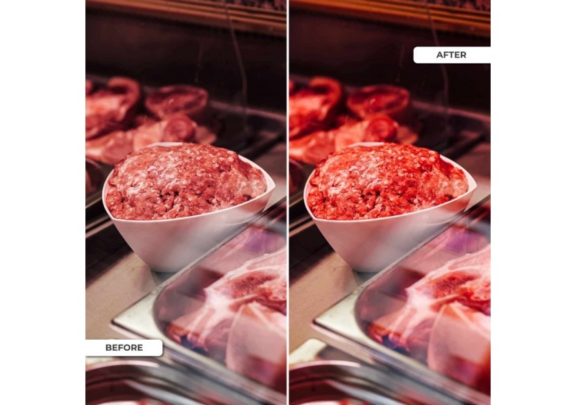 Spot LED encastrable spécial boucherie-30W-Coupe diamètre 210 mm - B1260-1-CAR - Barcelona LED