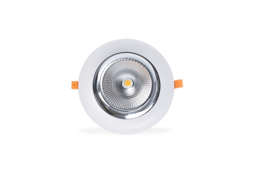 Spot LED encastrable spécial boucherie-30W-Coupe diamètre 210 mm - B1260-1-CAR - Barcelona LED