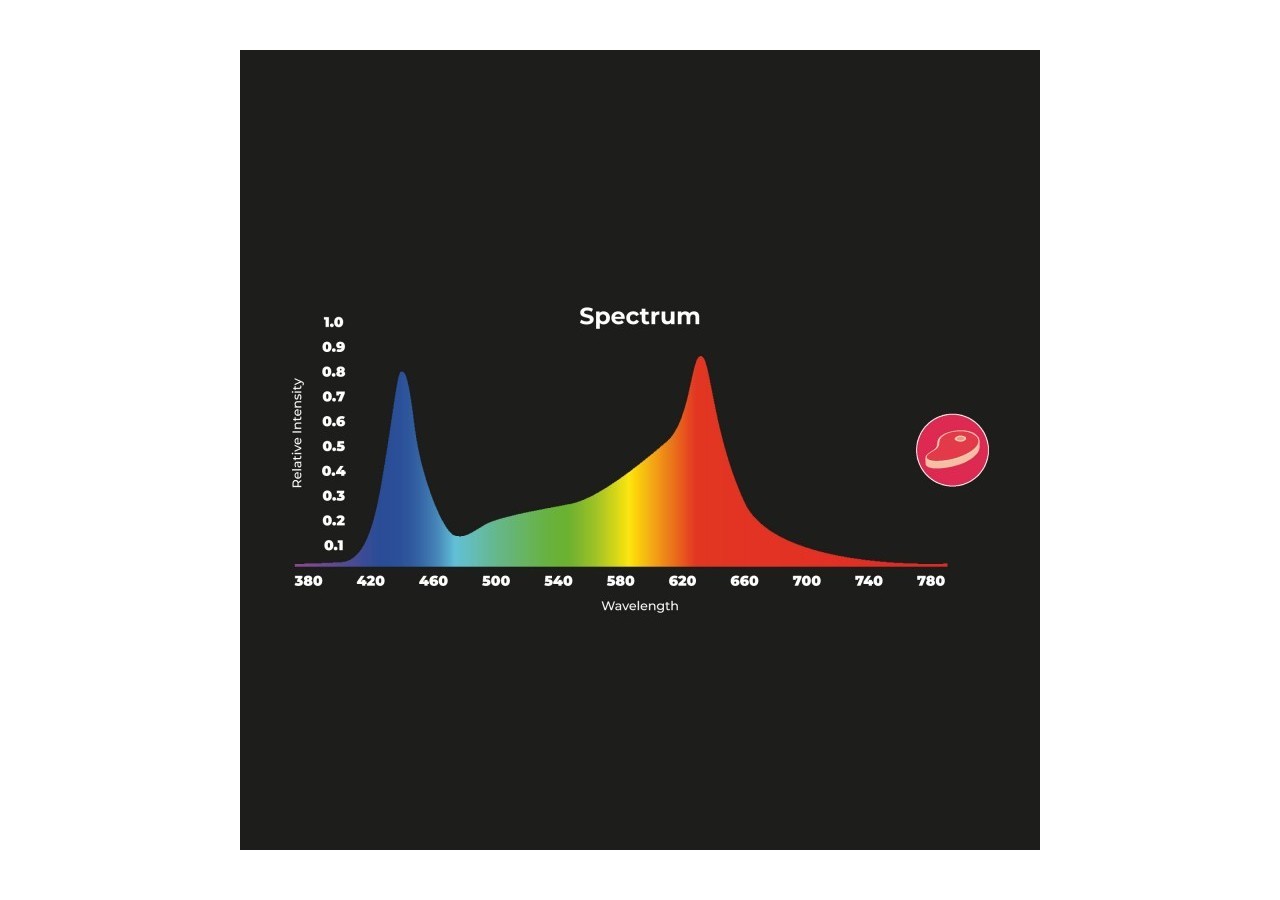 Spot LED encastrable spécial boucherie-30W-Coupe diamètre 210 mm - B1260-1-CAR - Barcelona LED