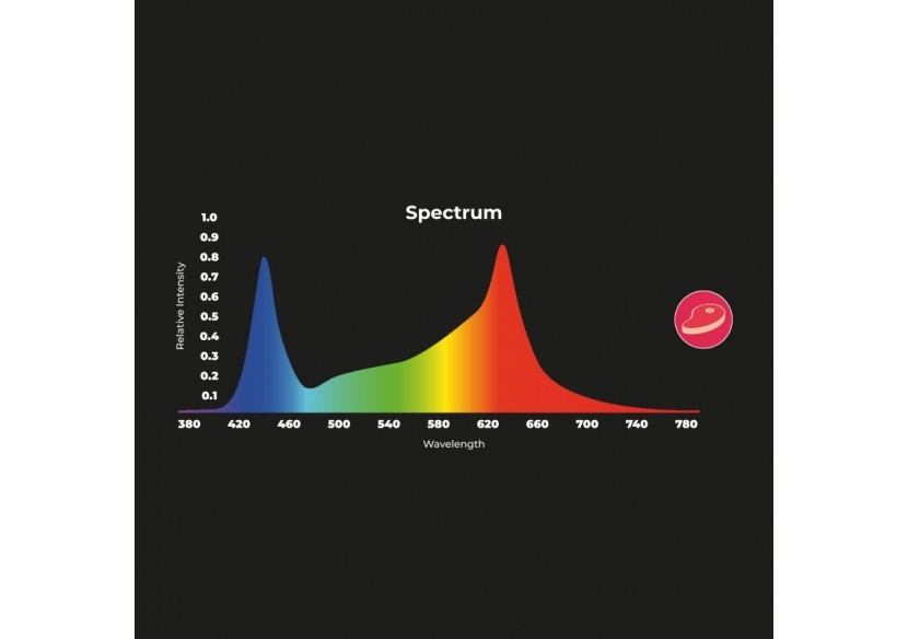 Spot LED encastrable spécial boucherie-30W-Coupe diamètre 210 mm - B1260-1-CAR - Barcelona LED