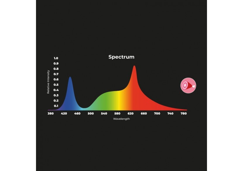 Spot LED encastrable spécial boucherie-30W-Coupe diamètre 210 mm - B1260-1-CAR - Barcelona LED