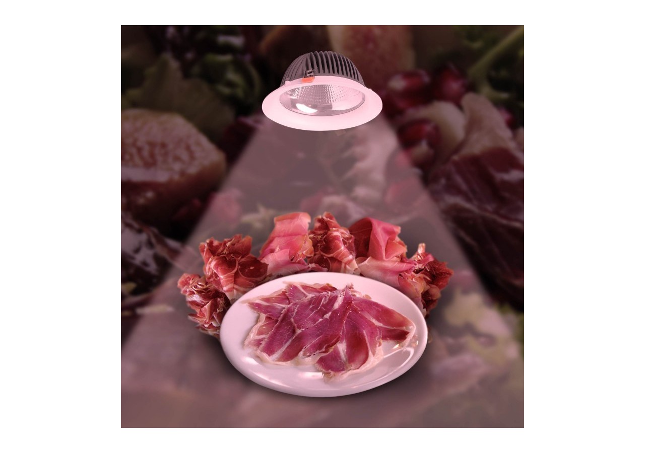 Spot LED encastrable spécial boucherie-30W-Coupe diamètre 210 mm - B1260-1-CAR - Barcelona LED