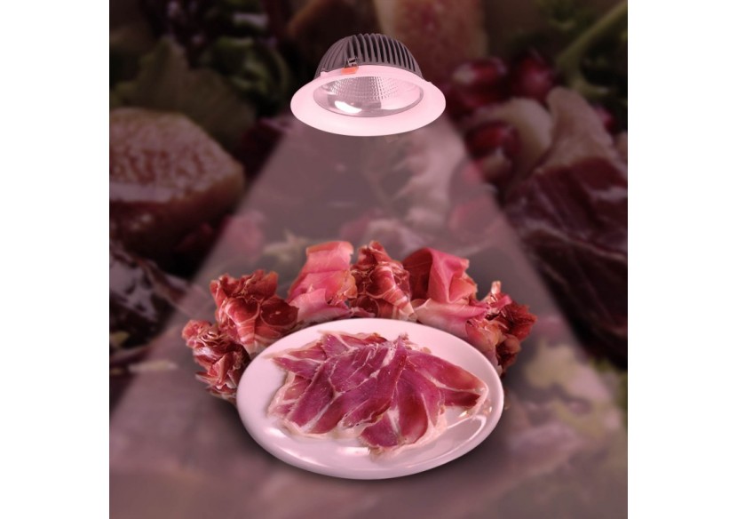 Spot LED encastrable spécial boucherie-30W-Coupe diamètre 210 mm - B1260-1-CAR - Barcelona LED