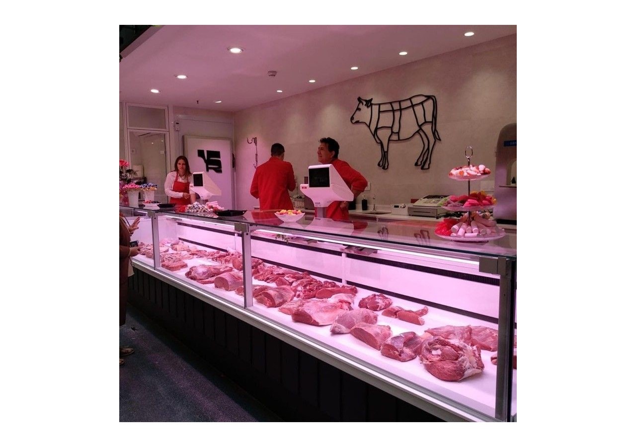 Spot LED encastrable spécial boucherie-30W-Coupe diamètre 210 mm - B1260-1-CAR - Barcelona LED