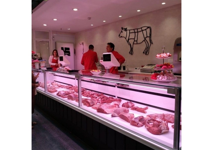 Spot LED encastrable spécial boucherie-30W-Coupe diamètre 210 mm - B1260-1-CAR - Barcelona LED