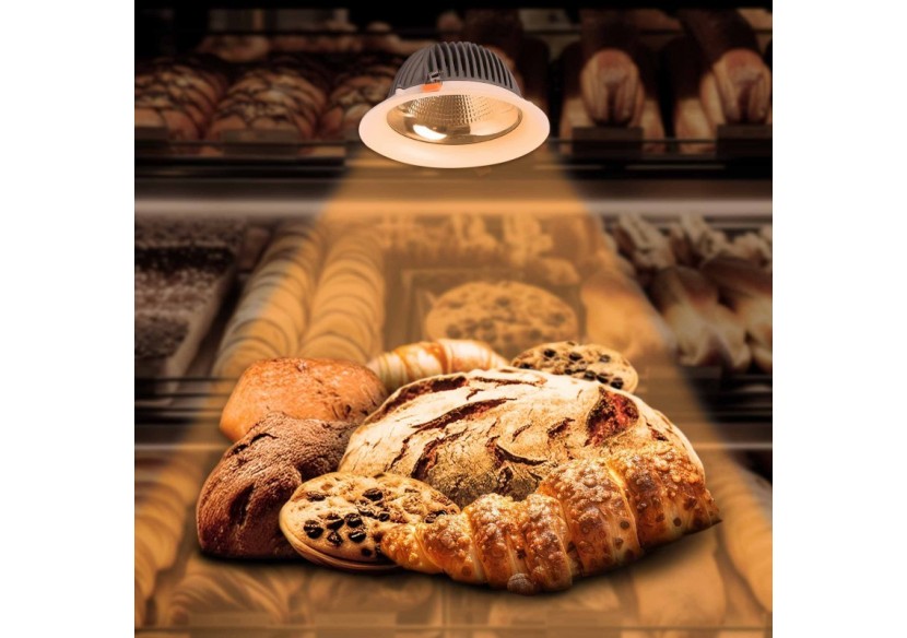 Spot LED encastrable spécial boulangerie-30W-Coupe diamètre 210 mm - B1260-1-PAN - Barcelona LED