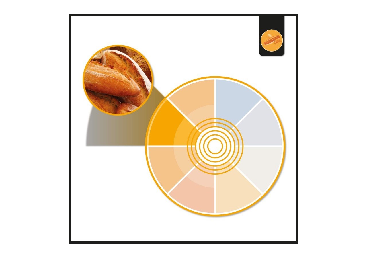 Spot LED encastrable spécial boulangerie-30W-Coupe diamètre 210 mm - B1260-1-PAN - Barcelona LED