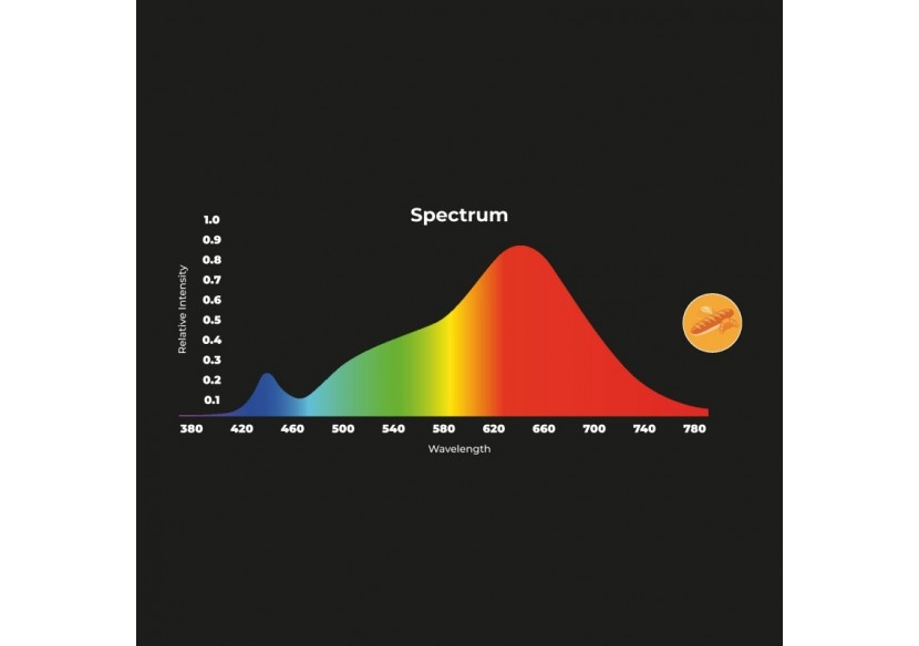 Spot LED encastrable spécial boulangerie-30W-Coupe diamètre 210 mm - B1260-1-PAN - Barcelona LED
