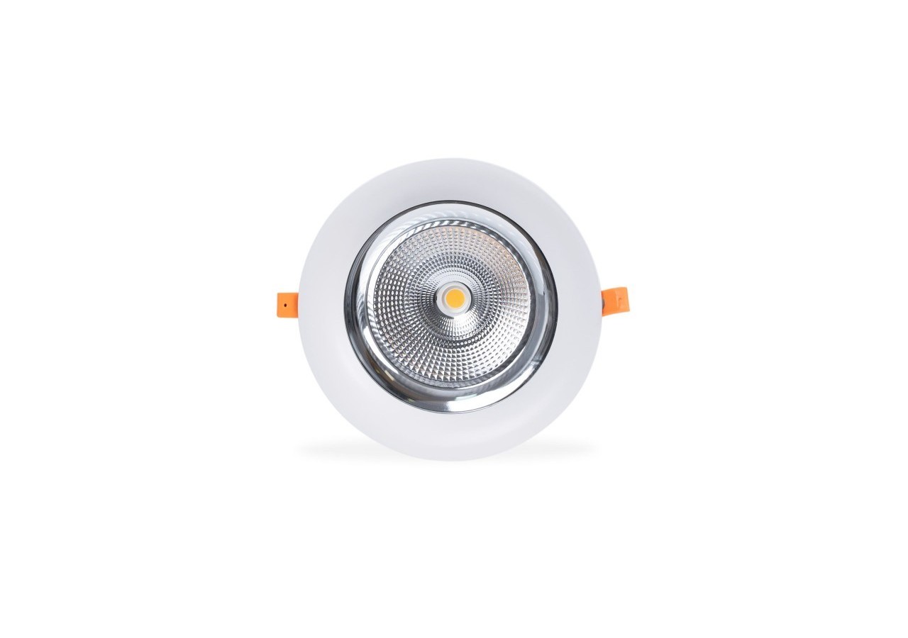Spot LED encastrable spécial fruits et légumes- 30W-Coupe diamètre 210 mm - B1260-1-FYV - Barcelona LED
