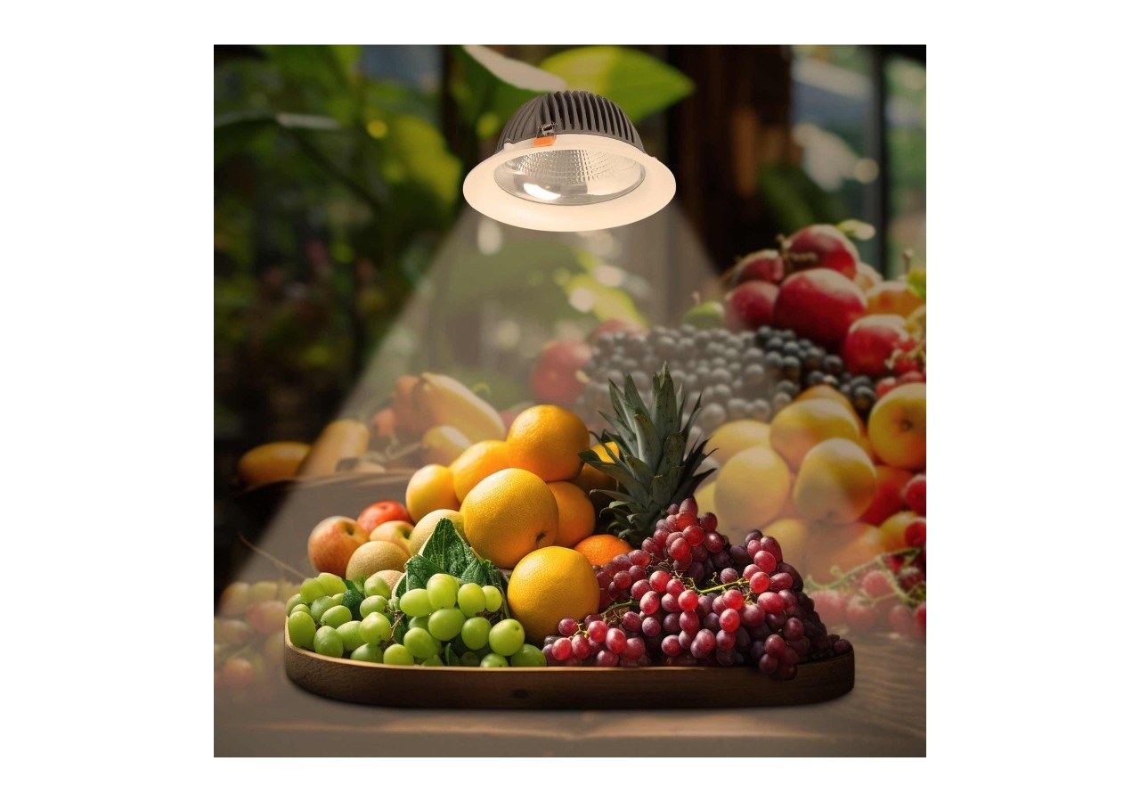 Spot LED encastrable spécial fruits et légumes- 30W-Coupe diamètre 210 mm - B1260-1-FYV - Barcelona LED
