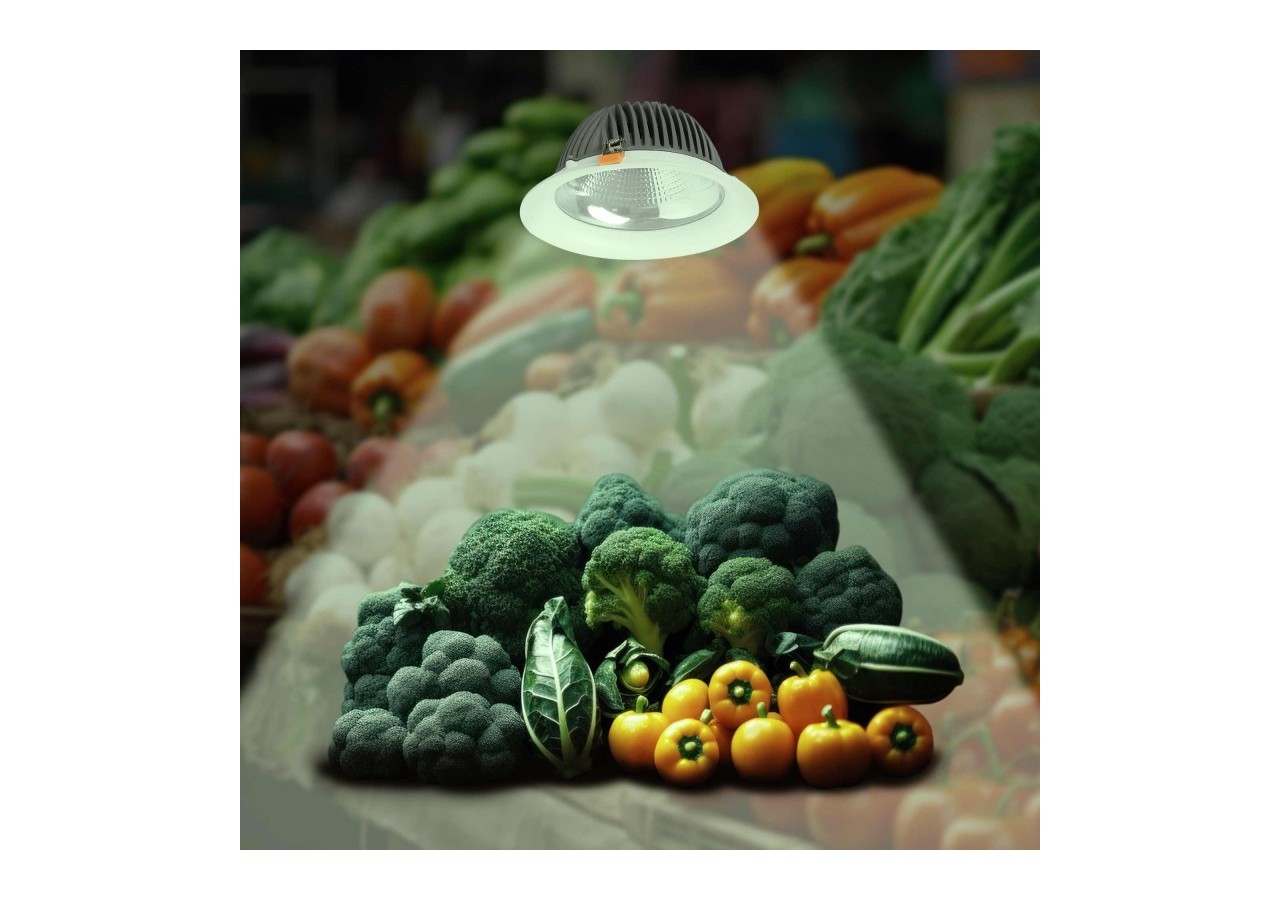 Spot LED encastrable spécial fruits et légumes- 30W-Coupe diamètre 210 mm - B1260-1-FYV - Barcelona LED