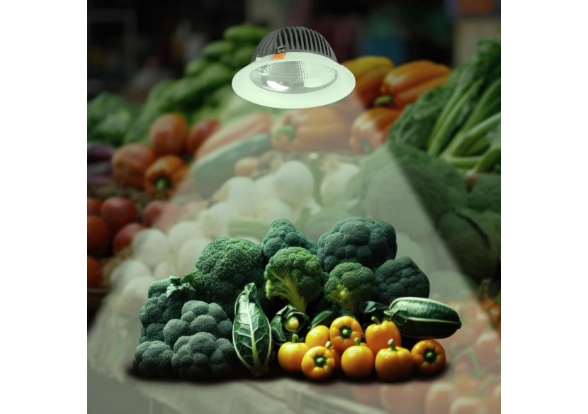 Spot LED encastrable spécial fruits et légumes- 30W-Coupe diamètre 210 mm - B1260-1-FYV - Barcelona LED