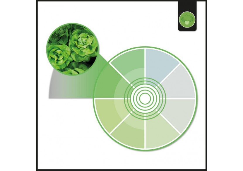 Spot LED encastrable spécial fruits et légumes- 30W-Coupe diamètre 210 mm - B1260-1-FYV - Barcelona LED