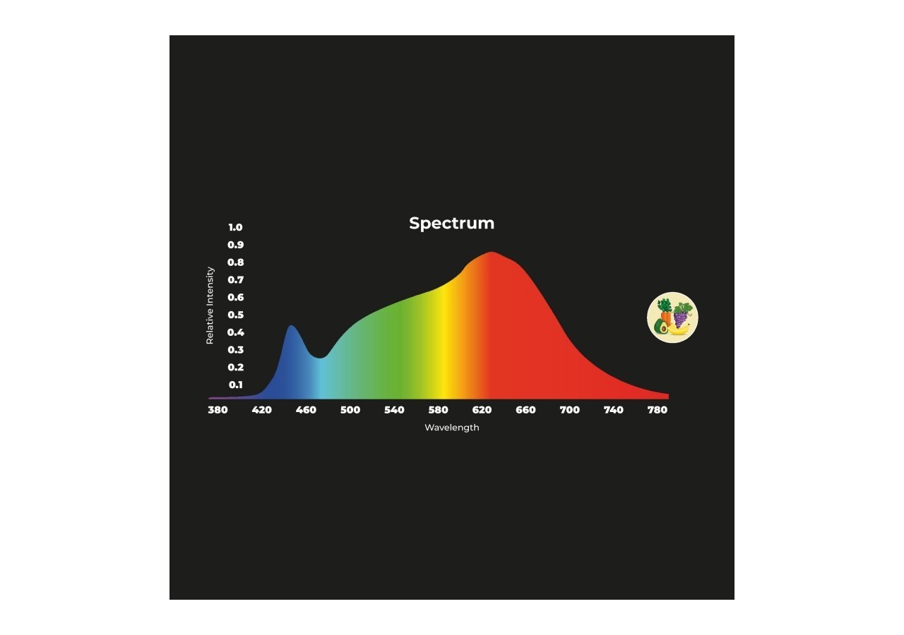 Spot LED encastrable spécial fruits et légumes- 30W-Coupe diamètre 210 mm - B1260-1-FYV - Barcelona LED