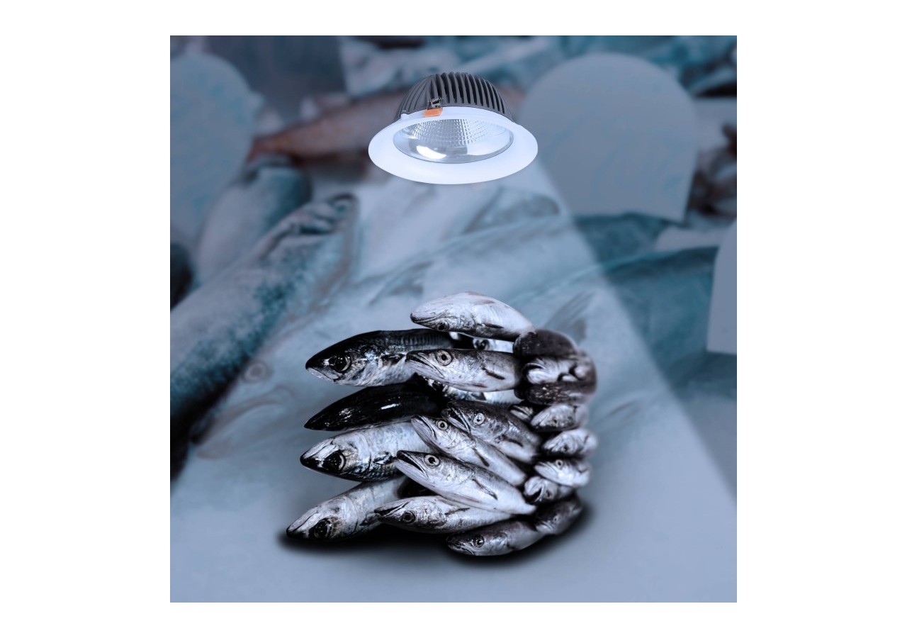 Spot LED encastrable spécial poissonnerie-30W-diamètre 210 mm - B1260-1-PYM - Barcelona LED