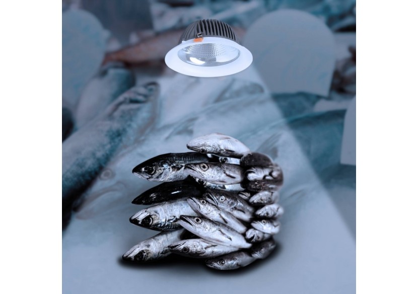 Spot LED encastrable spécial poissonnerie-30W-diamètre 210 mm - B1260-1-PYM - Barcelona LED