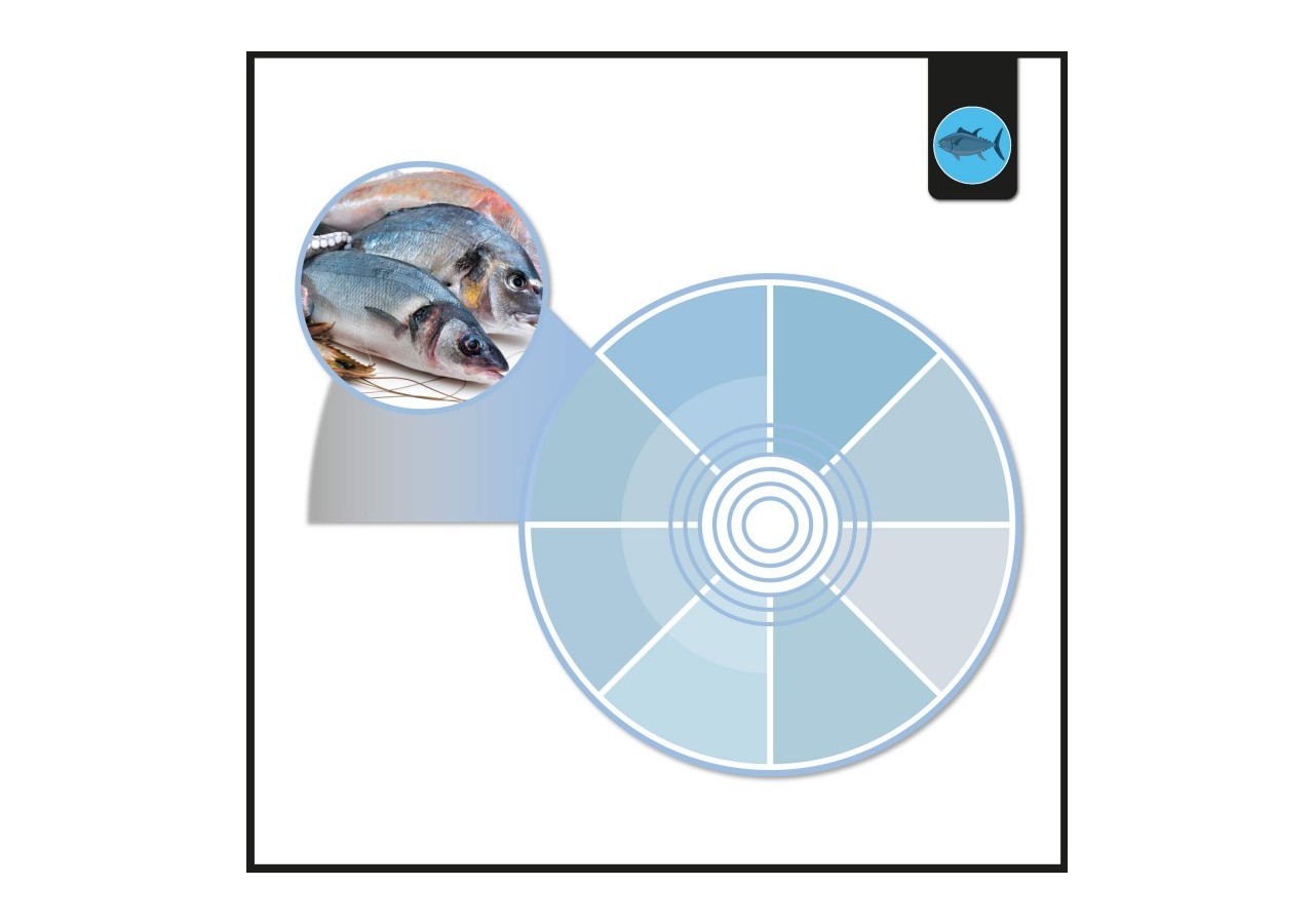 Spot LED encastrable spécial poissonnerie-30W-diamètre 210 mm - B1260-1-PYM - Barcelona LED