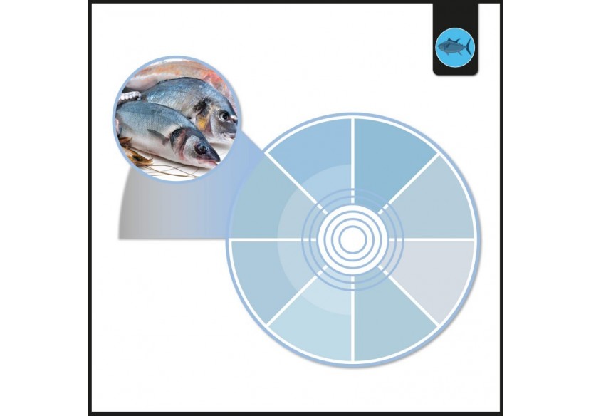 Spot LED encastrable spécial poissonnerie-30W-diamètre 210 mm - B1260-1-PYM - Barcelona LED