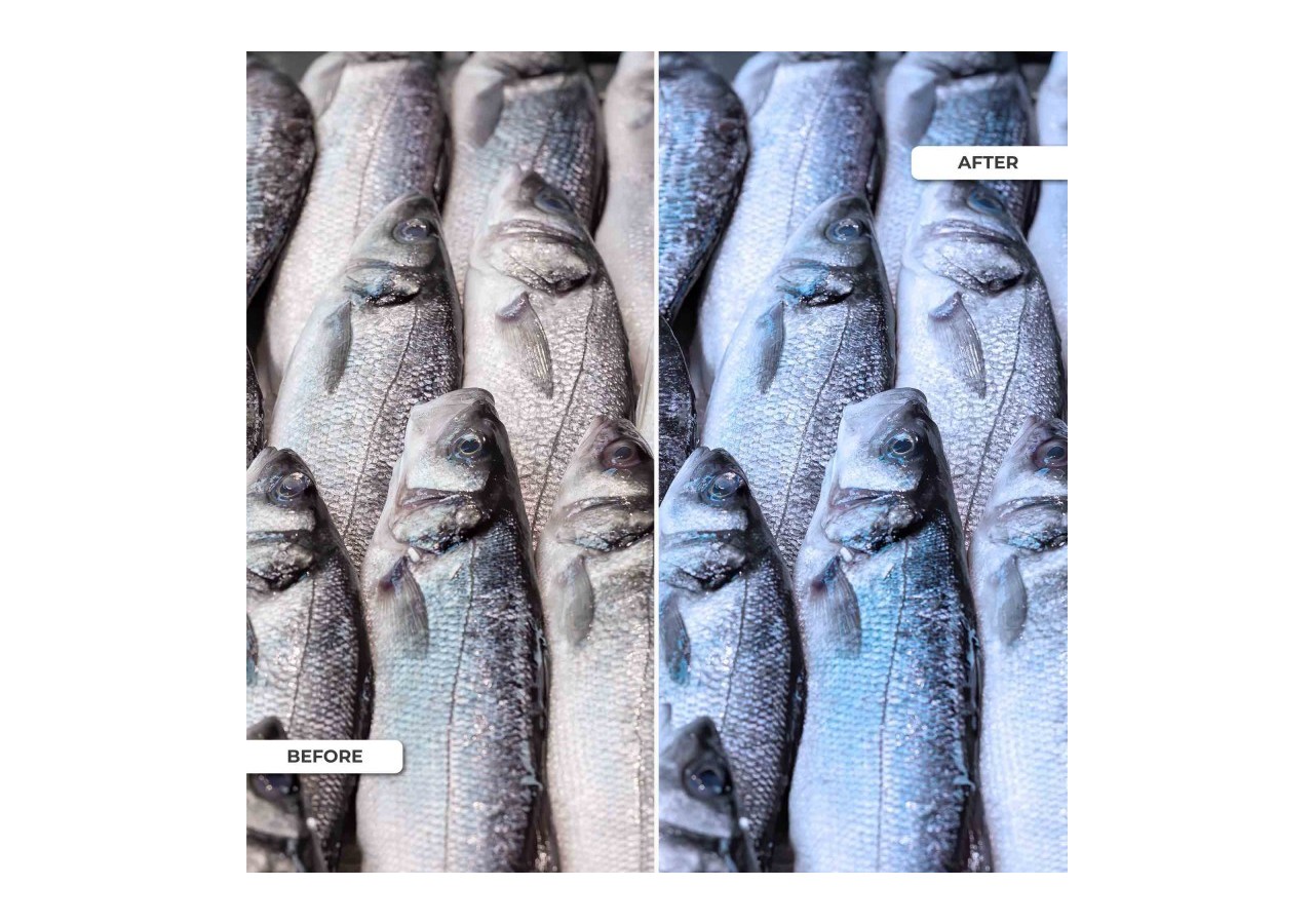 Spot LED encastrable spécial poissonnerie-30W-diamètre 210 mm - B1260-1-PYM - Barcelona LED