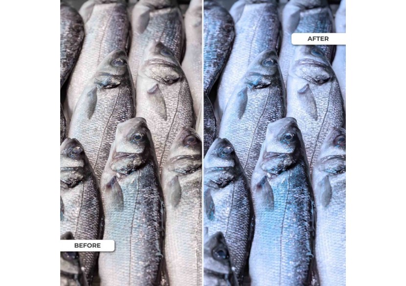 Spot LED encastrable spécial poissonnerie-30W-diamètre 210 mm - B1260-1-PYM - Barcelona LED