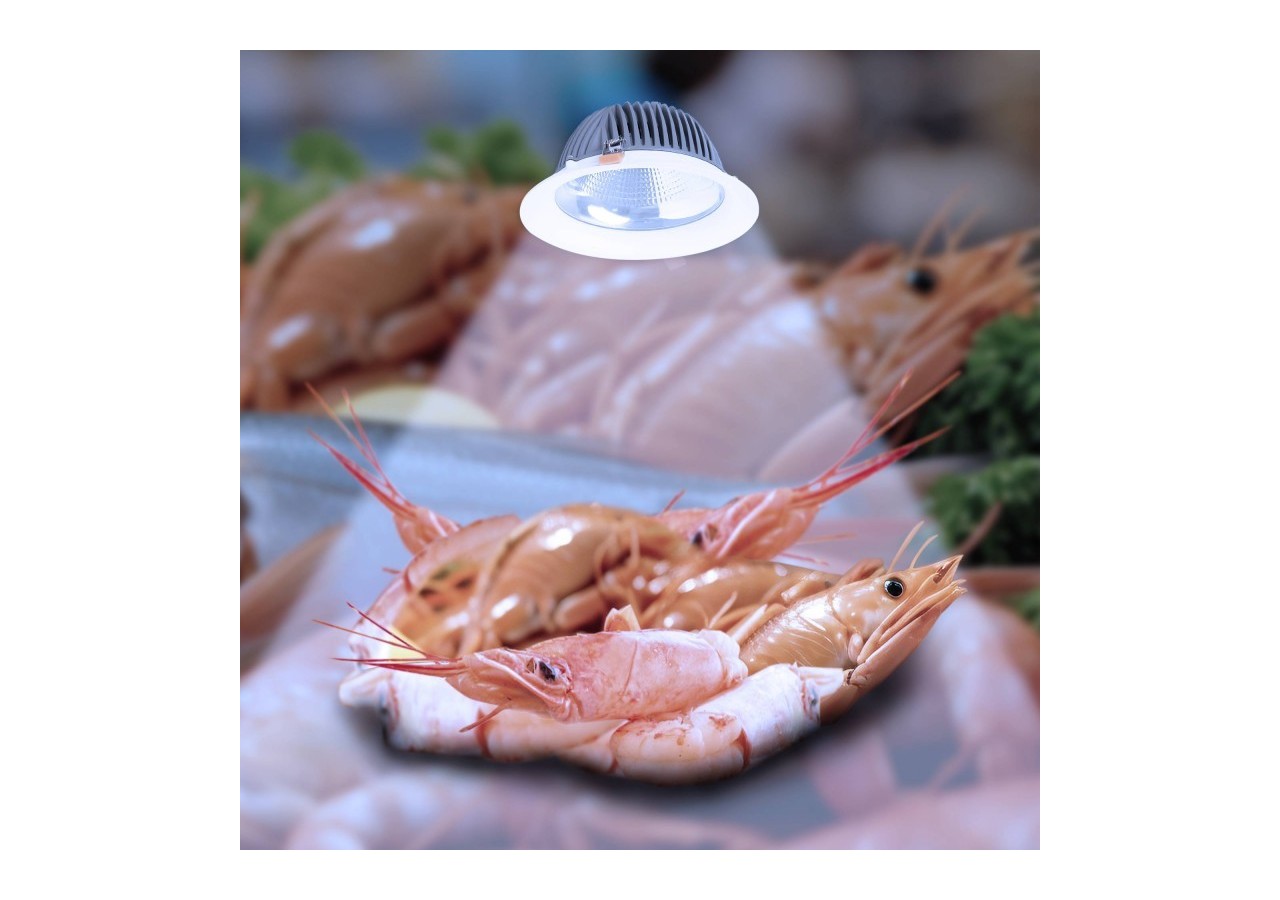 Spot LED encastrable spécial poissonnerie-30W-diamètre 210 mm - B1260-1-PYM - Barcelona LED