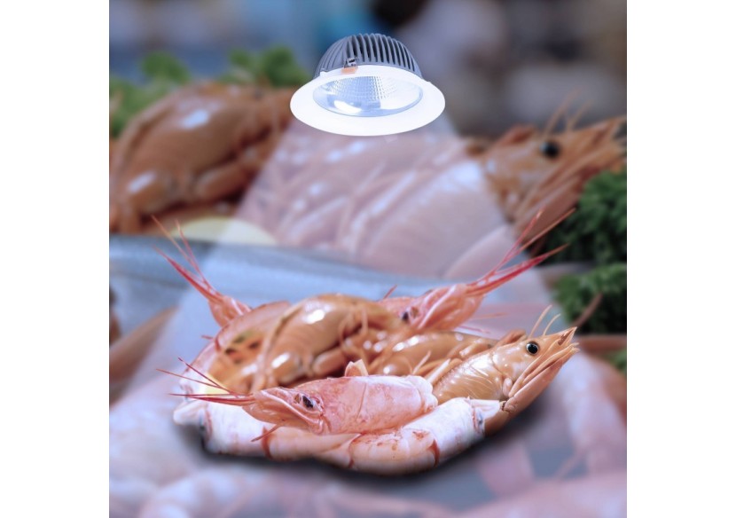 Spot LED encastrable spécial poissonnerie-30W-diamètre 210 mm - B1260-1-PYM - Barcelona LED