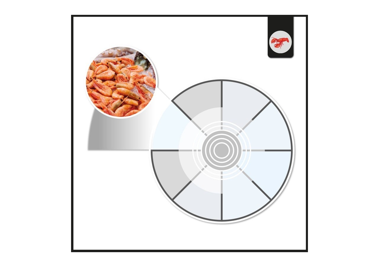 Spot LED encastrable spécial poissonnerie-30W-diamètre 210 mm - B1260-1-PYM - Barcelona LED