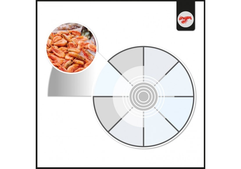 Spot LED encastrable spécial poissonnerie-30W-diamètre 210 mm - B1260-1-PYM - Barcelona LED