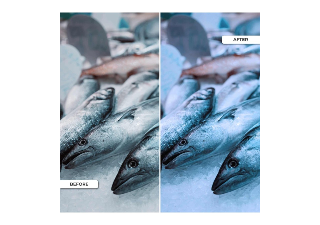 Spot LED encastrable spécial poissonnerie-30W-diamètre 210 mm - B1260-1-PYM - Barcelona LED