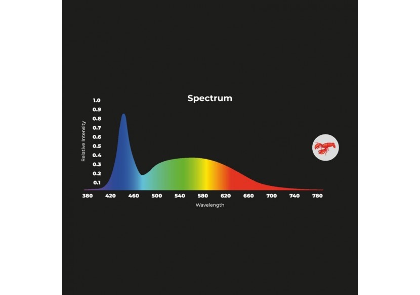 Spot LED encastrable spécial poissonnerie-30W-diamètre 210 mm - B1260-1-PYM - Barcelona LED