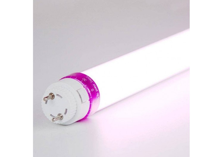 Tube LED T8 10W 600mm spécial boucherie - B4009-60-CAR - Barcelona LED 2