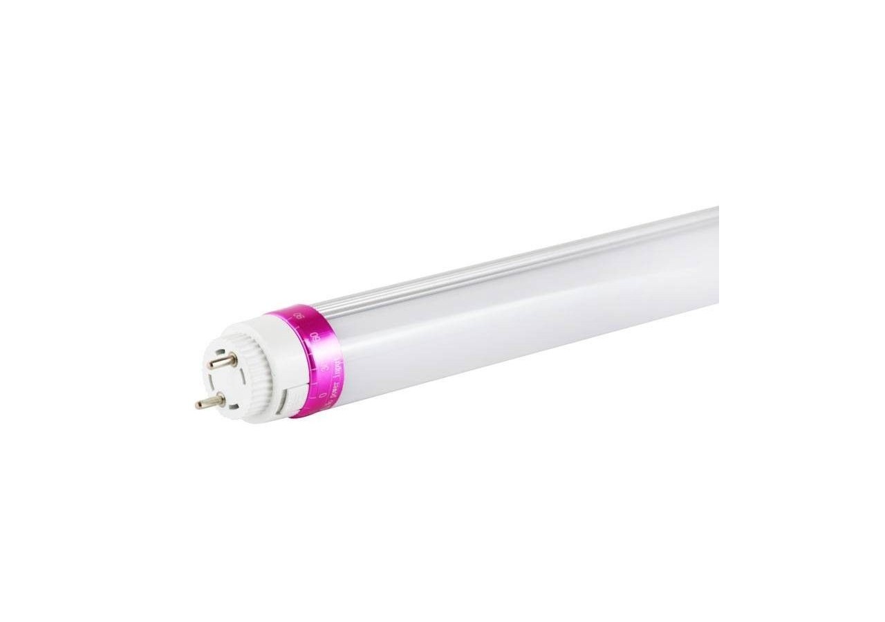 Tube LED T8 10W 600mm spécial boucherie - B4009-60-CAR - Barcelona LED