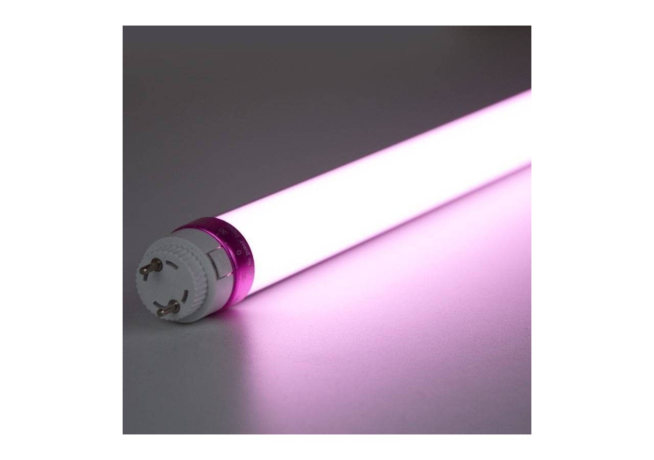 Tube LED T8 10W 600mm spécial boucherie - B4009-60-CAR - Barcelona LED