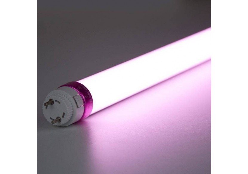 Tube LED T8 10W 600mm spécial boucherie - B4009-60-CAR - Barcelona LED Tube LED T8 10W 600mm spécial boucherie - B4009-60-CAR - Barcelona LED