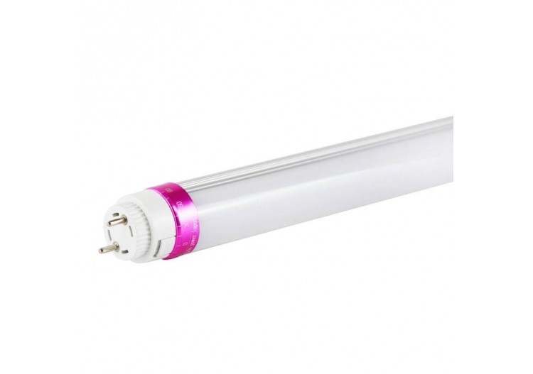 Tube LED T8 10W 600mm spécial Charcuterie - B4009-60-CHA - Barcelona LED