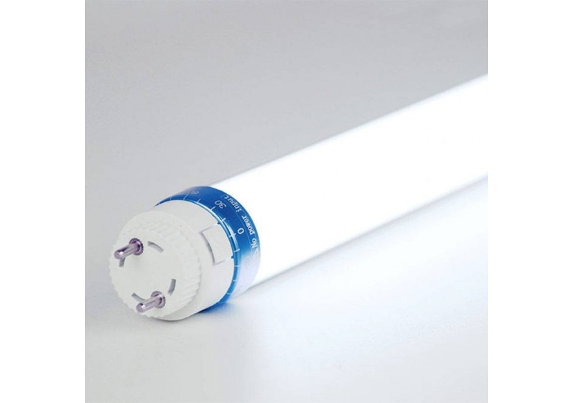 Tube LED T8 10W 600mm spécial poissonnerie 600mm - B4009-60-PES - Barcelona LED Tube LED T8 10W 600mm spécial poissonnerie 600mm - B4009-60-PES - Barcelona LED
