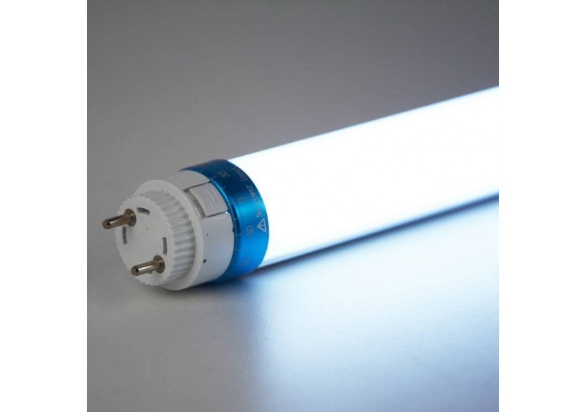 Tube LED T8 10W 600mm spécial poissonnerie 600mm - B4009-60-PES - Barcelona LED Tube LED T8 10W 600mm spécial poissonnerie 600mm - B4009-60-PES - Barcelona LED