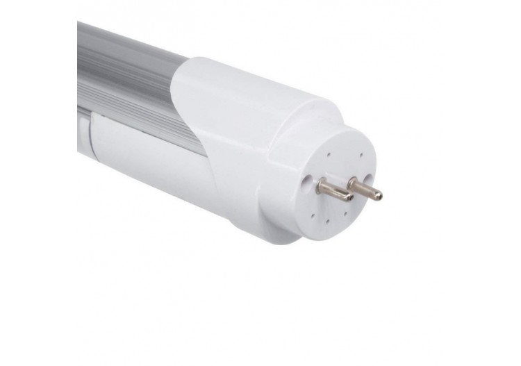 Tube LED T8 60cm 9W avec capteur de proximité microondes Blanc Froid 6000K verre opaque - B4009-R-60BF - Barcelona LED 2