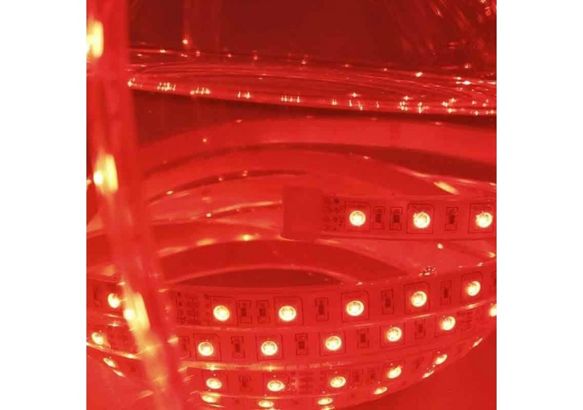 Ruban LED RGB 24V IP67 SMD 5050 72W 5M - B1549-IP67 - Barcelona LED