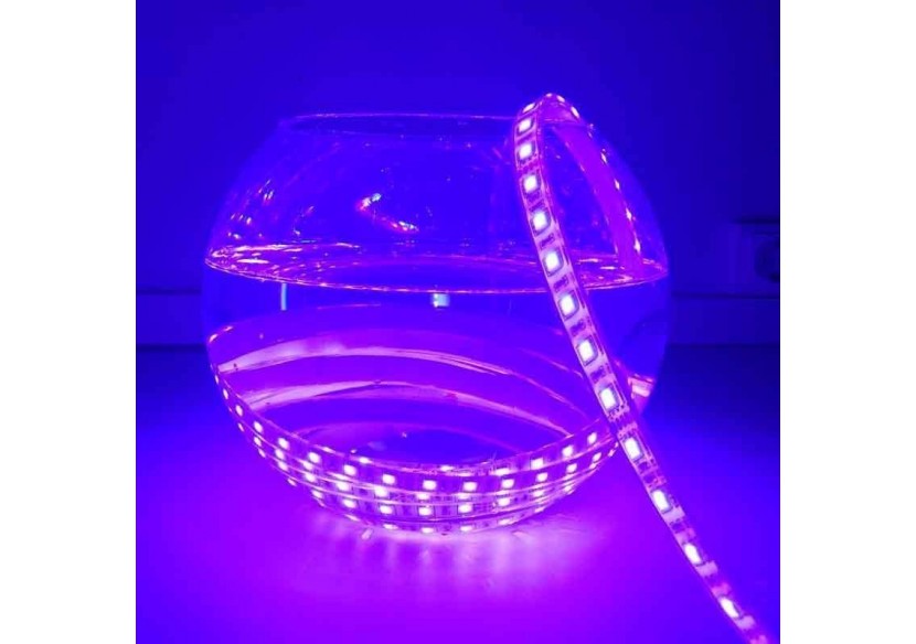 Ruban LED RGB 24V IP67 SMD 5050 72W 5M - B1549-IP67 - Barcelona LED