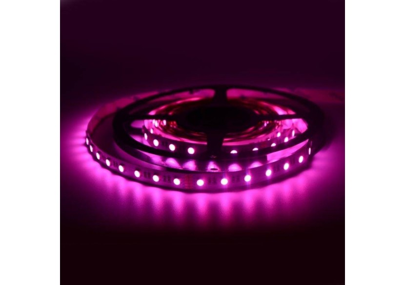 Ruban LED 24V DC 96W RGBWW IP20 (SMD5050) Rouleau de 5m - B1548RGBWW - Barcelona LED