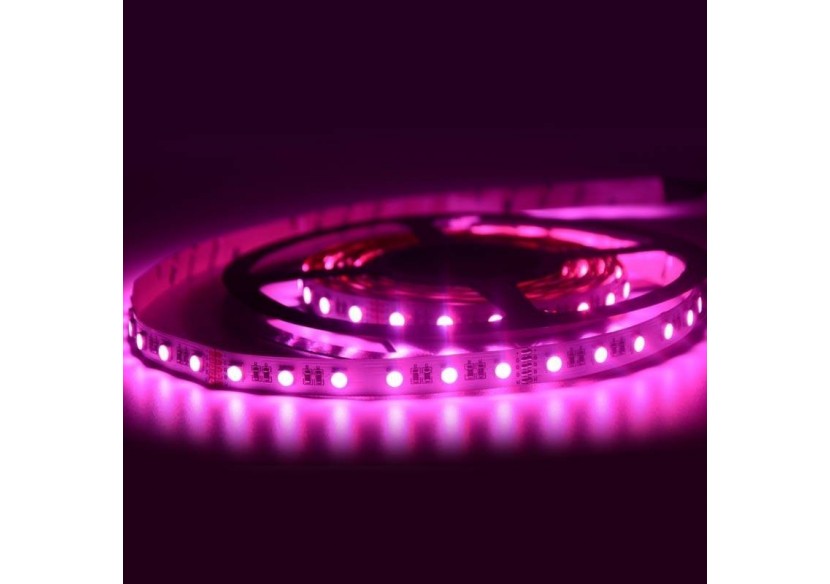 Ruban LED 24V DC 96W 12mm RGBW IP20 (SMD5050) Rouleau de 5m - B1548-RGBW - Barcelona LED Ruban LED 24V DC 96W 12mm RGBW IP20 (SMD5050) Rouleau de 5m - B1548-RGBW - Barcelona LED
