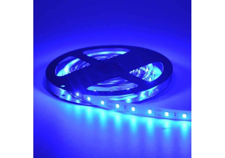 Ruban LED 12V DC 50W SMD2835 IP20 5m - B1539AZ - Barcelona LED