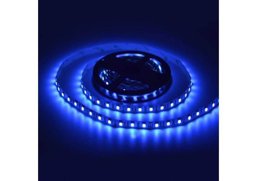 Ruban LED Ultra Violet 12V SMD 5050 5M - B1538UV - Barcelona LED Ruban LED Ultra Violet 12V SMD 5050 5M - B1538UV - Barcelona LED