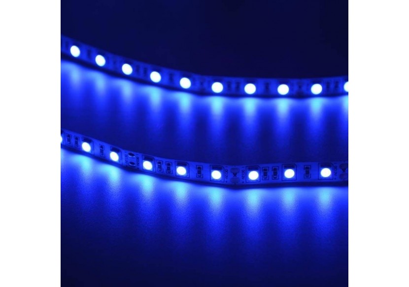Ruban LED Ultra Violet 12V SMD 5050 5M - B1538UV - Barcelona LED Ruban LED Ultra Violet 12V SMD 5050 5M - B1538UV - Barcelona LED